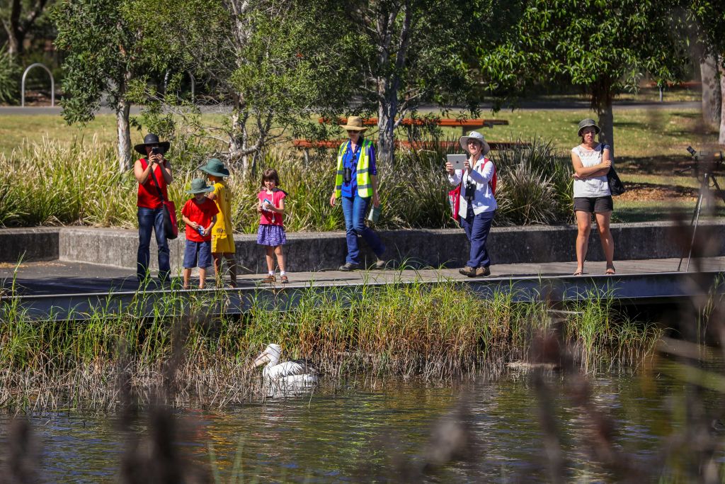 A diverse group of people in a Sydney park, representing the city's multicultural approach to mental health